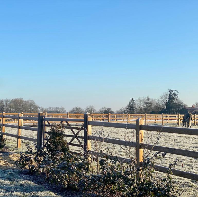 A horse standing in a wooden fenced area where the grass looks is frozen.