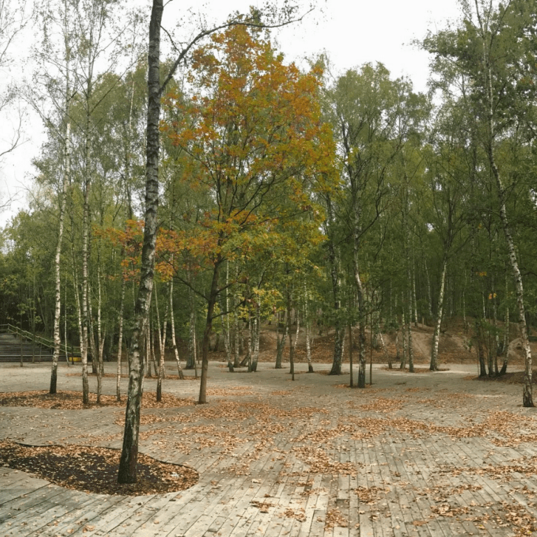 A park with wooden floor