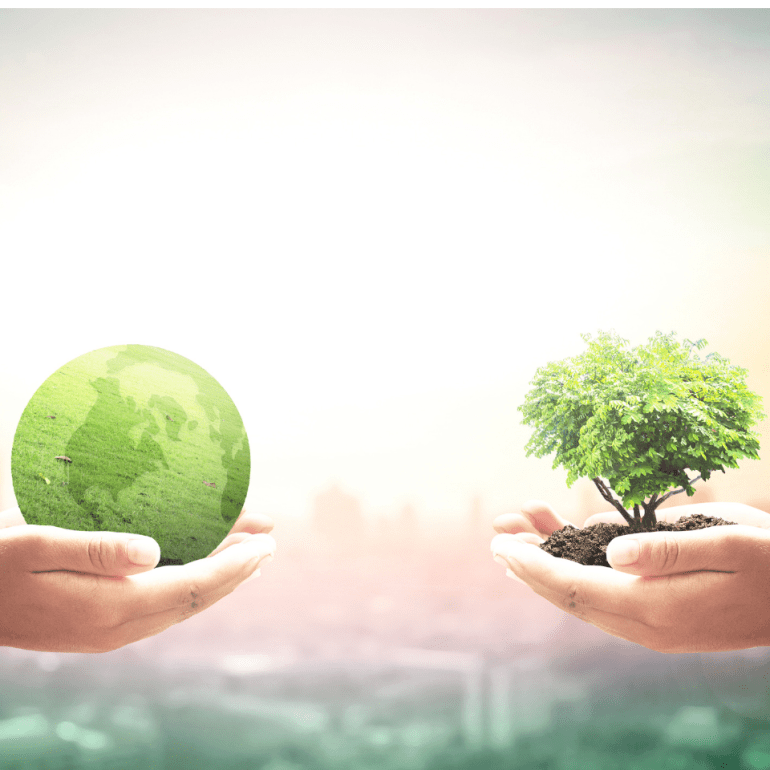 Une paire de mains tenant la terre et une autre paire tenant un arbre représentant la durabilité.