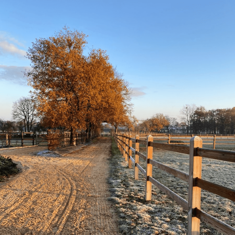 Wooden fences with square posts and 3 rails that slide through the posts on a frozen field