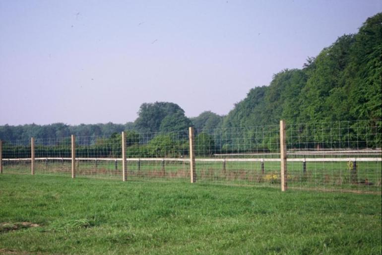 Draadgaasomheining met vierkante grenenhouten palen die een veld omheinen