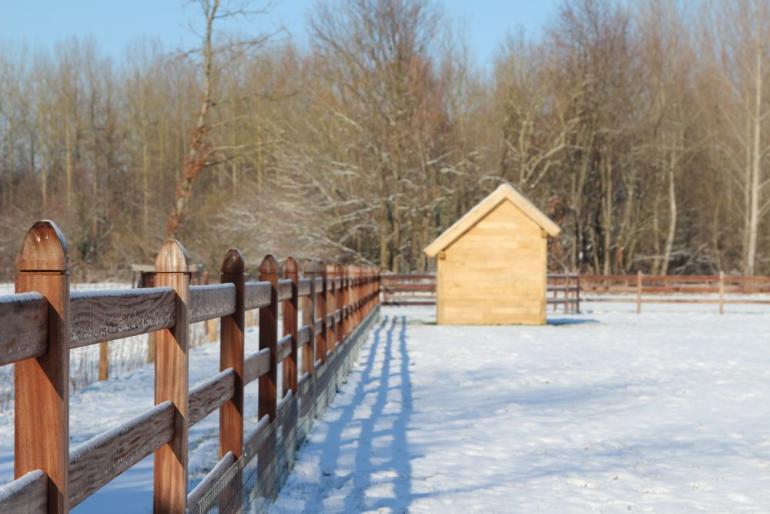 A wooden shelter for animals in a field with wooden fences around it