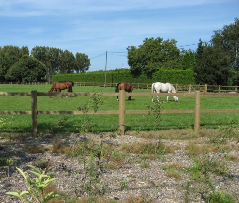 Houten omheining met planken vastgeschroefd op de vierkante palen op een weiland met paarden