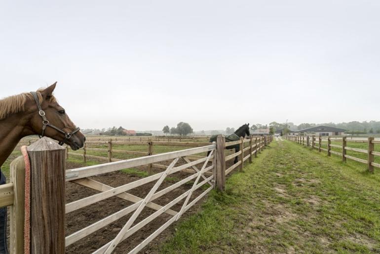 Een houten poort bevestigd aan houten omheiningen met drie spijlen op een weiland met paarden