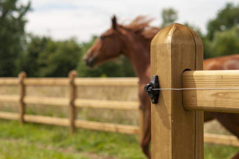 Een paard op een veld met houten omheiningen met vierkante palen waar de rails doorheen glijden en elektrische draden