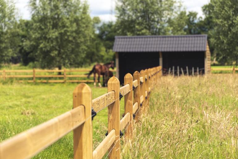 Een dubbele houten paardenschuilstal met zwarte dakpannen verbonden met houten hekken met 3 rails, vierkante palen en elektrische draden op een veld met twee paarden