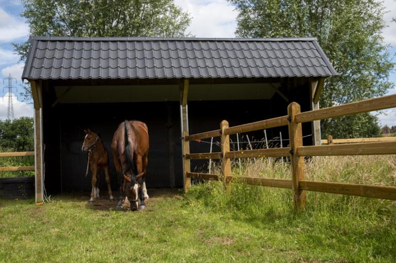 Een dubbele houten paardenschuilstal met zwarte dakpannen verbonden met houten omheiningen met 3 rails op een veld met twee paarden
