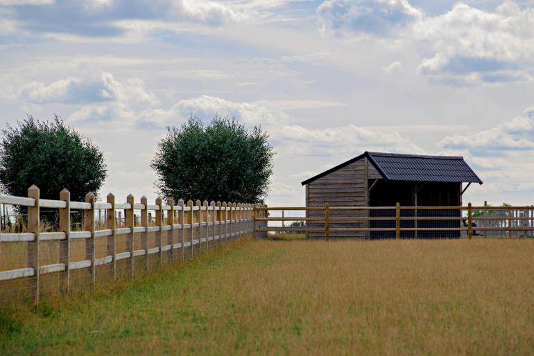 A field with trees, a wooden shelter and wooden fencing