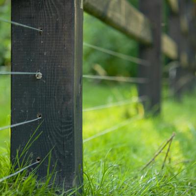 A wooden fence with rails and wires for small livestock