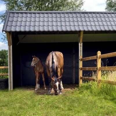 Un double abri pour chevaux en bois avec des tuiles noires relié à une clôture en bois avec 3 lisses sur un champ avec deux chevaux.
