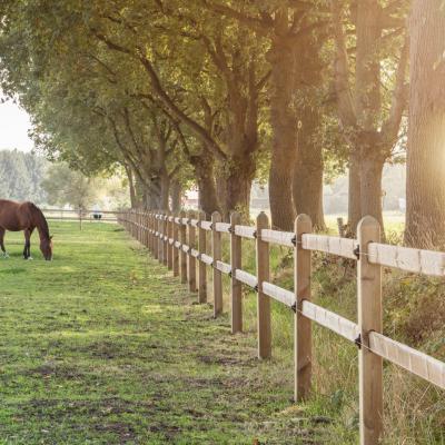 Paarden in een weiland met houten omheiningen met twee spijlen en planken die door de vierkante palen glijden.