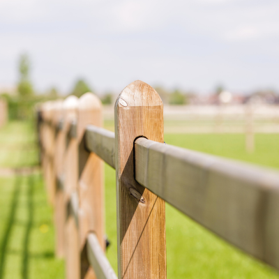 Wooden fences for horse fields | High quality, safe and animal-friendly | A visual added value for your property.