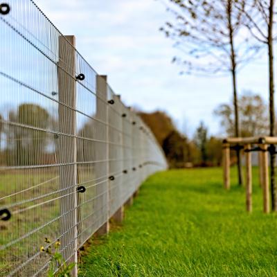 Wire mesh fence with robinia square posts and two live wires