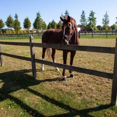 Houten omheiningen en poorten in tropisch hardhout