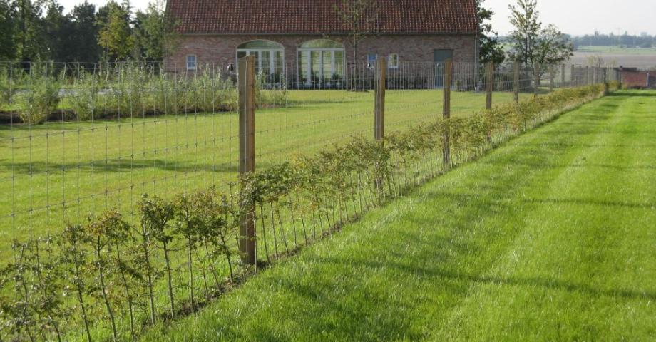 Omheining van gaas met vierkante dennenhouten palen in de tuin van een huis