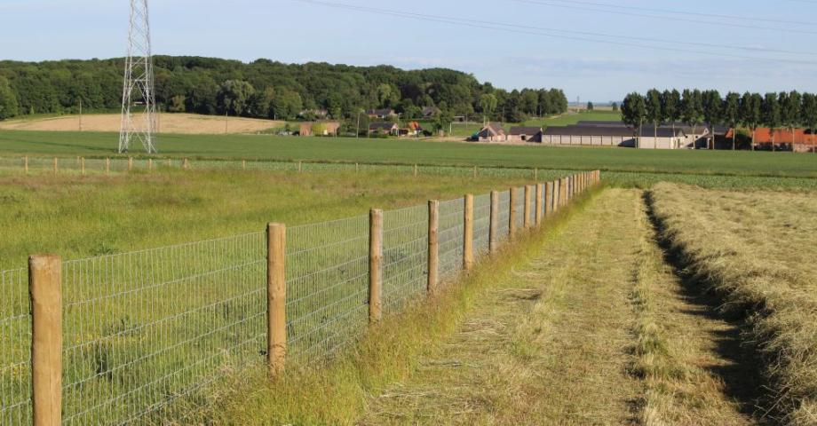 Wire mesh fence | High quality, safe and animal friendly | A visual added value for your property