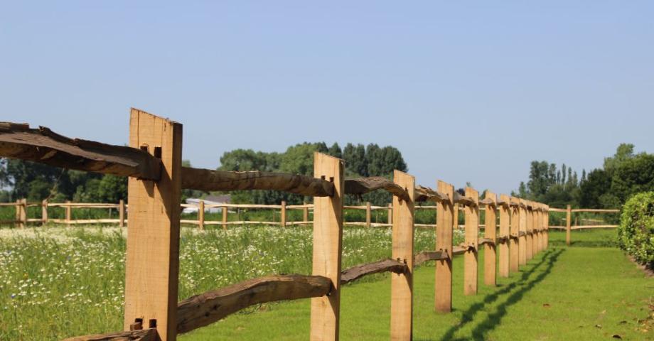 Gekloofd kastanjehouten omheining met vierkante palen en 2 rails op een veld