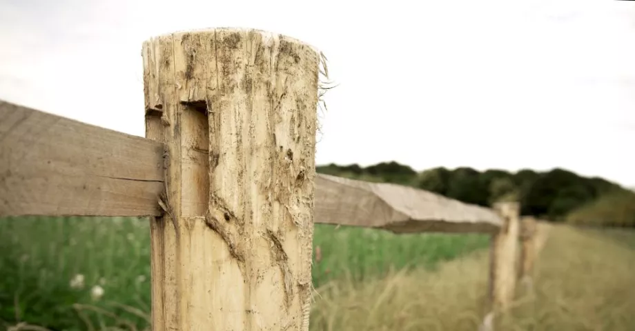 Wooden board that slides into the round post of a fence.