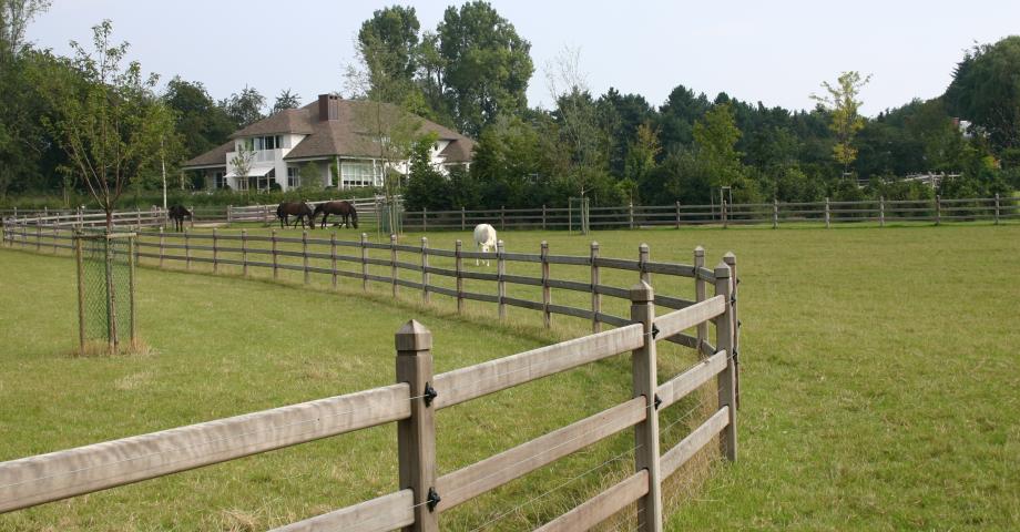Gebogen houten omheiningen met 3 rails, vierkante palen en elektrische draden op een weiland voor paarden