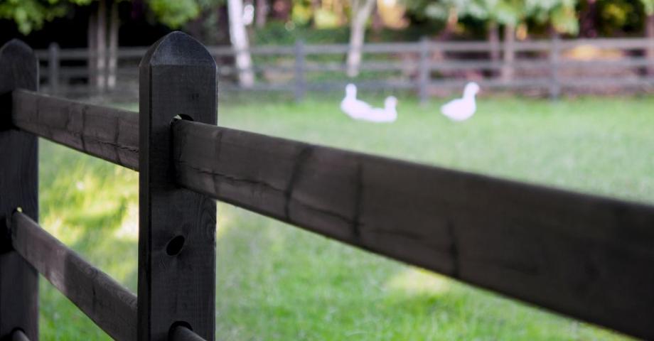 De Sutter Naturally | Houten omheiningen voor paardenweides | Ontdek Square black: zwarte, robuuste elegantie | Geïmpregneerd hout van de hoogste kwaliteit 