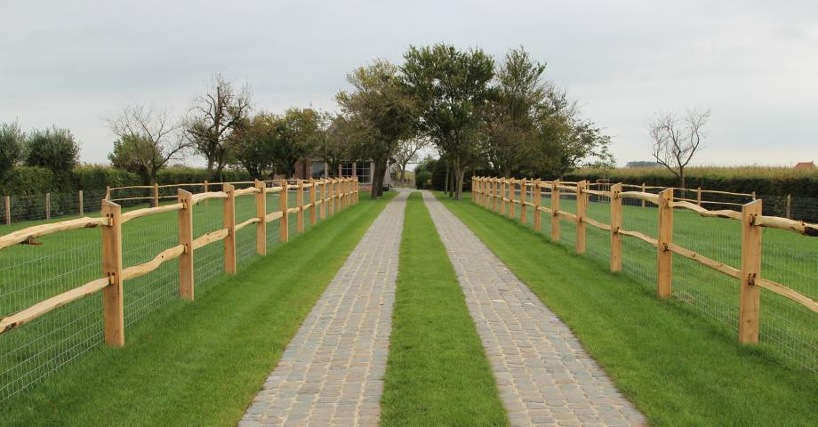 Un chemin entre des clôtures en châtaignier fendu avec 2 rails, des poteaux carrés et un grillage sur le dessus.