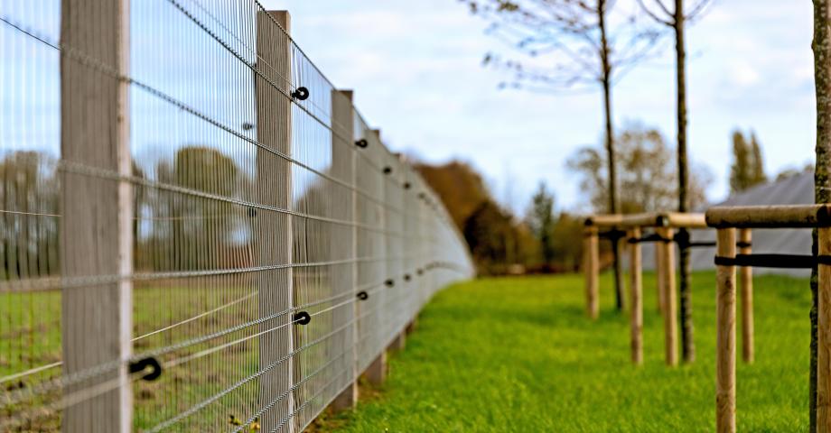 Pour quels animaux une clôture avec un treillis métallique est-elle  appropriée ?