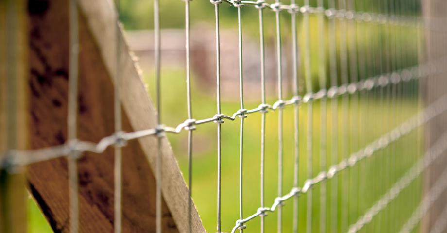 A close up to a wire mesh fence