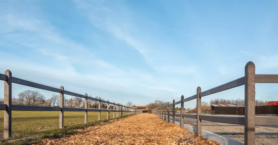 Recycled plastic fences with two rails where the boards slide into the square posts.