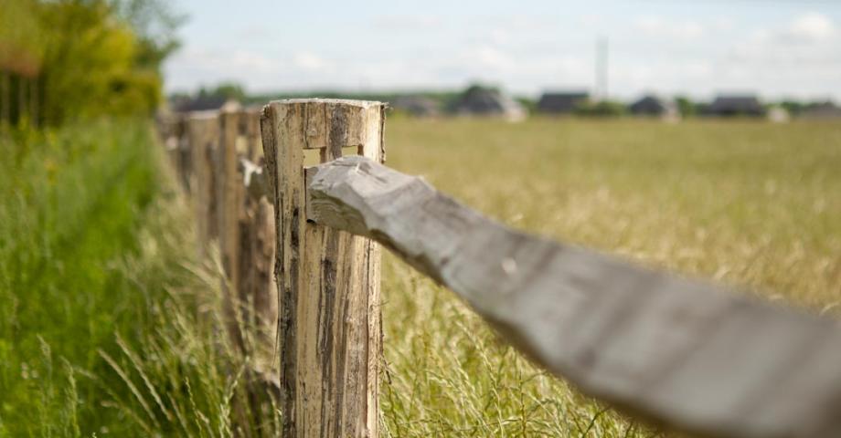 A cleft chestnut fence with rails and round posts