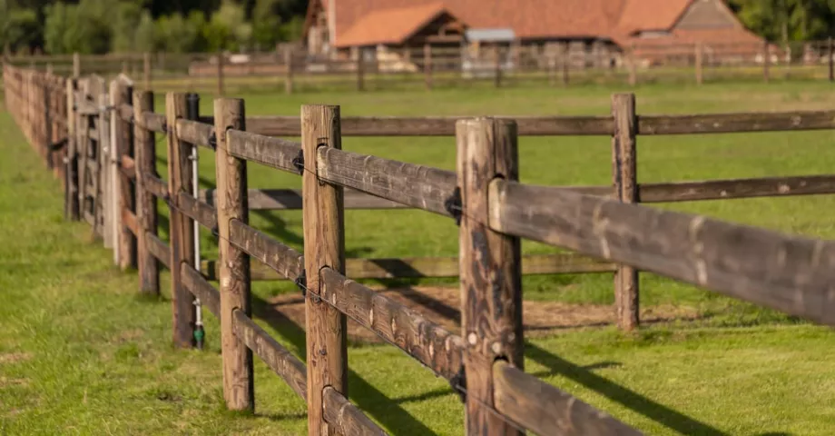 A wooden rail fence with round posts and electric wires