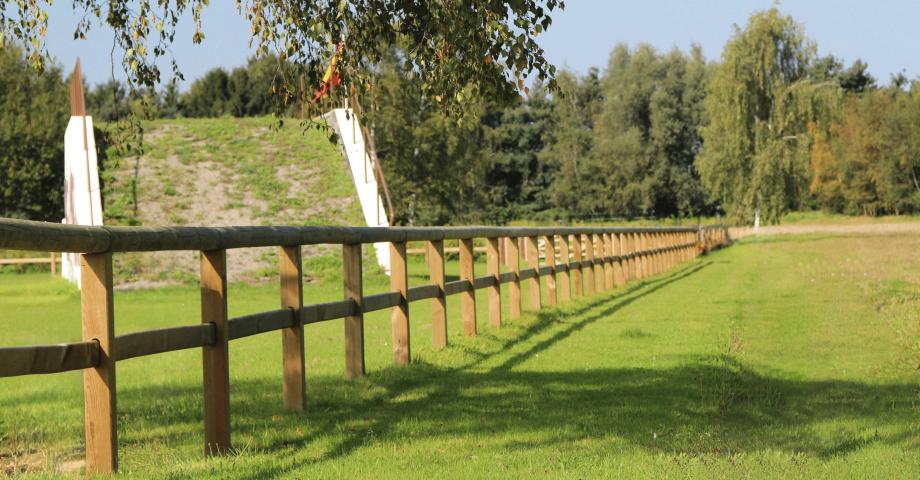 Track fencing with continuous, semicircular top rail