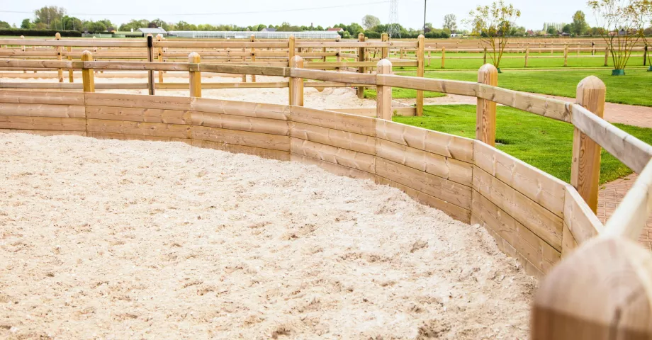 A lunge arena enclosed by wooden fences with square posts, 1 rail and gravel boards at the bottom.